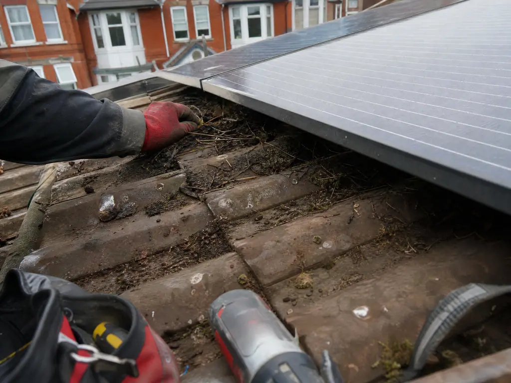 Gap under solar panels used by pigeons, Derby