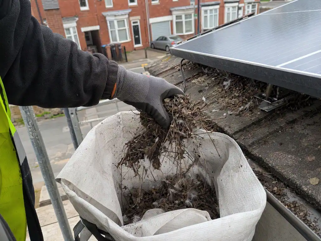 Old empty nest material being cleared from under solar panels, Derby